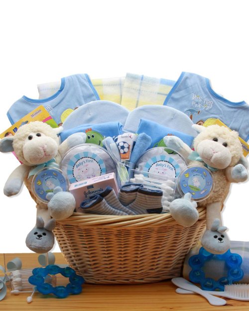 Double Delight Twins New Baby Gift Basket - Blue