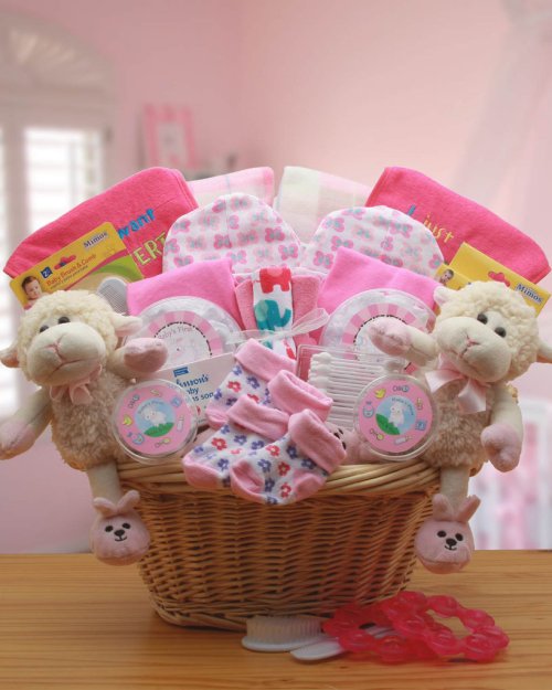 Double Delight Twins New Babies Gift Basket - Pink