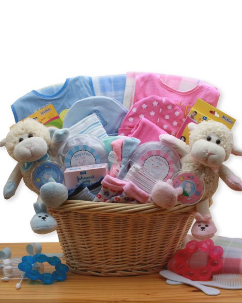 Double Delight Twins New Baby Gift Basket