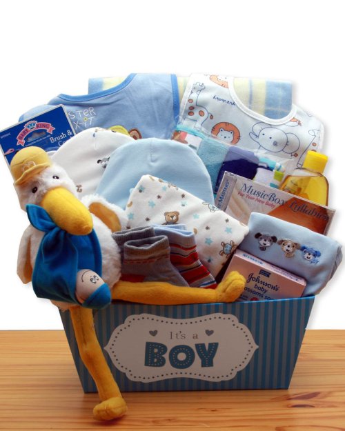 A Special Delivery New Baby Gift Basket - Blue