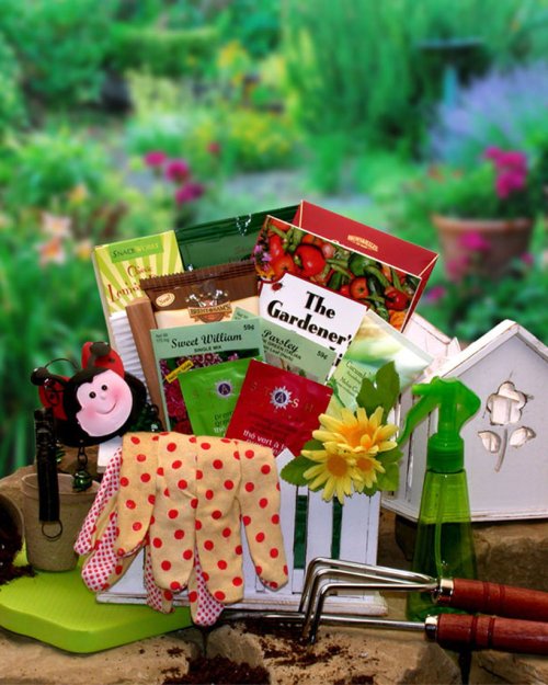 Useful Gardener Gift Set