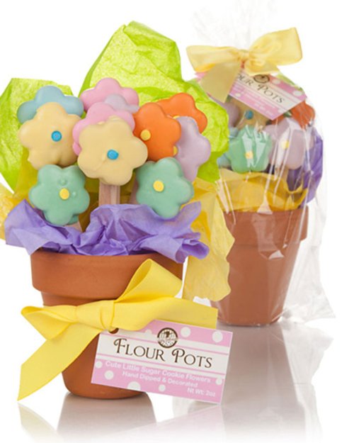 Mother's Day Flower Pot of Edible cookies